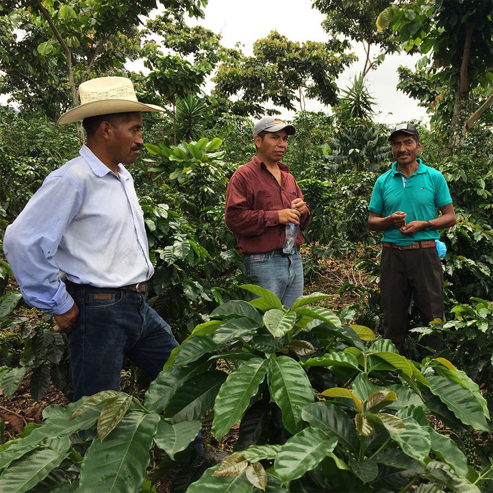 Colombia Nariño Single Origin
