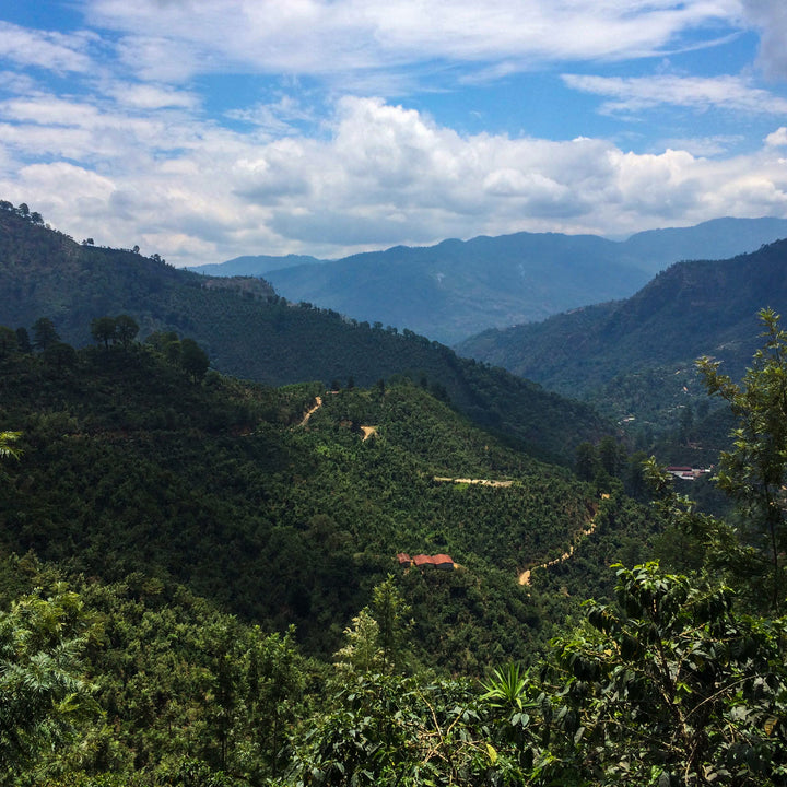 Colombia Nariño Single Origin